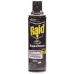 Raid® Wasp, Hornet and Insect Killer, 14oz